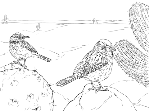 Two Cactus Wrens Coloring Page